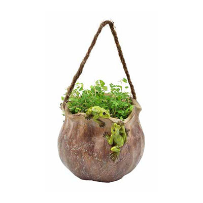 green_frogs_on_round_hanging_pot.jpg
